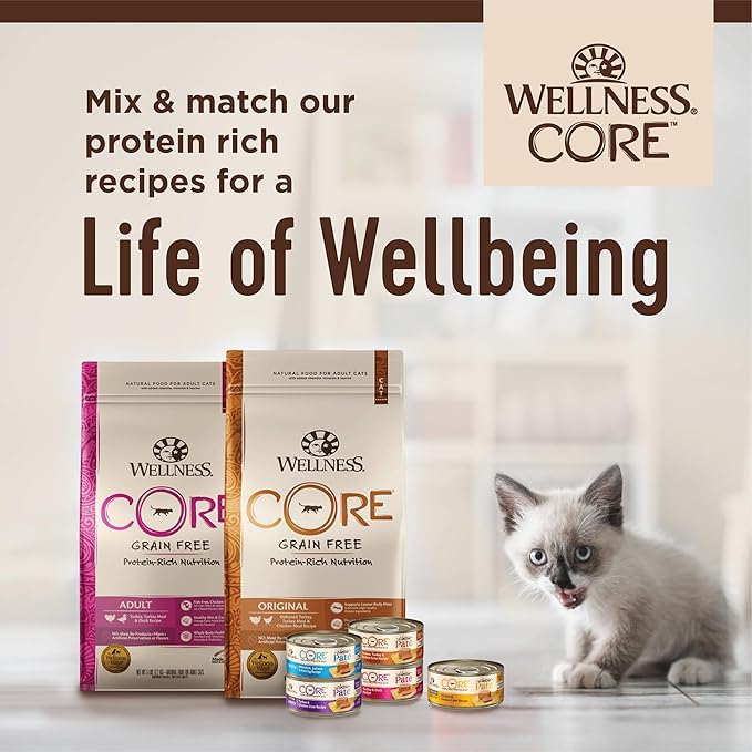 Wellness CORE Pate Kitten Wet Cat Food, Natural, Protein-Rich, Grain Free, 3 Ounce, 12 Pack (Chicken & Salmon)