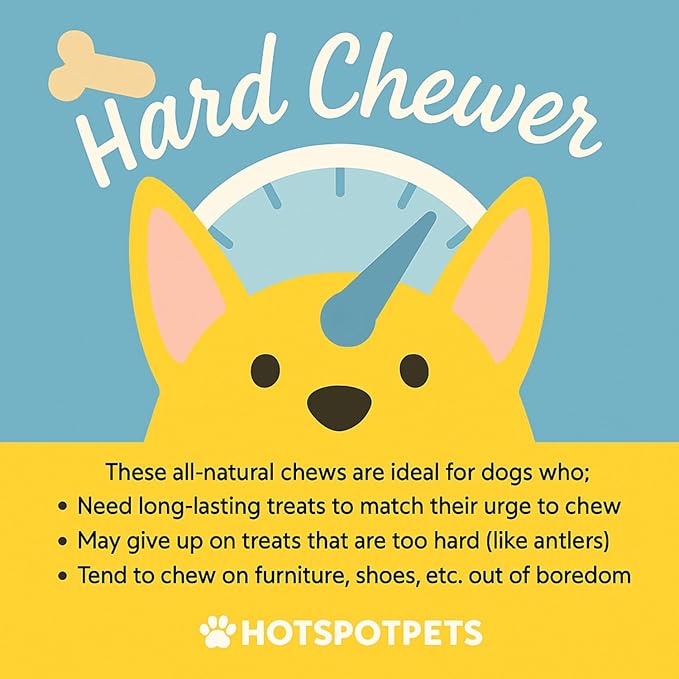 hotspot pets Braided Bully Sticks for Dogs -(12 Inch -10 Pack) All Natural Long Lasting Twisted Beef Pizzle Dog Chew Treats - Grain Free Fully Digestible Rawhide Alternative - 12 Inch Stix