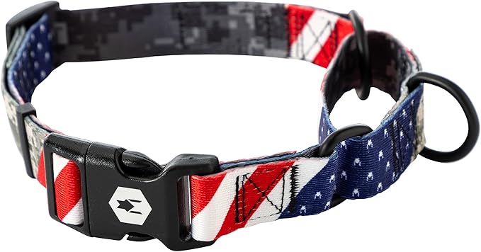 Wolfgang Heavy Duty Martingale Dog Collar with Quick Release Nylon Buckle for Walking & Training, DigitalDog Print, Small
