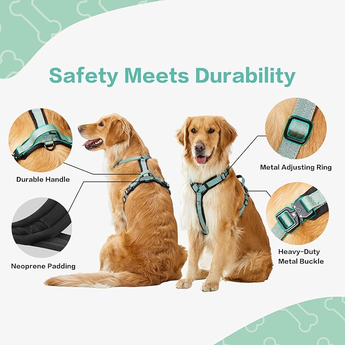 PawsPassion Dog Harness for Small Dogs, No Pull Dog Harness Easy Walk with Metal Hardware, Ergonomic Y-Shaped Design, Soft Padding, Padded Handle, Durable High-Tensile Nylon (Seabreeze, S)