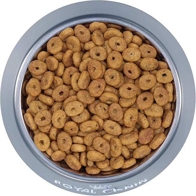 Royal Canin Appetite Control Spayed/Neutered Dry Adult Cat Food, 6 lb bag