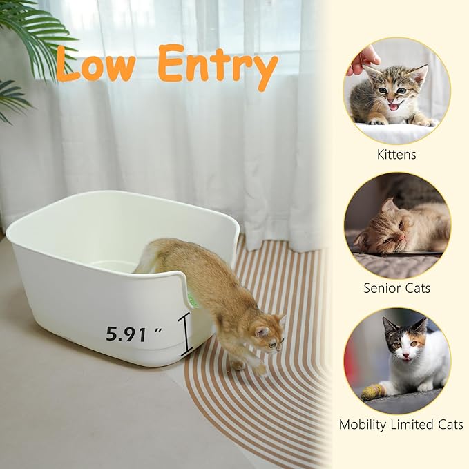 SpaceTime Extra Large Litter Box with High Sides,24.2" Lx16.3 Wx12.9 H XL Multi Cat Litter Pan for Kitty,Cat Boxes for Indoor Cats,Jumbo Litter Boxes for Big Cats,Anti-Splashing,Easy to Clean (Green)