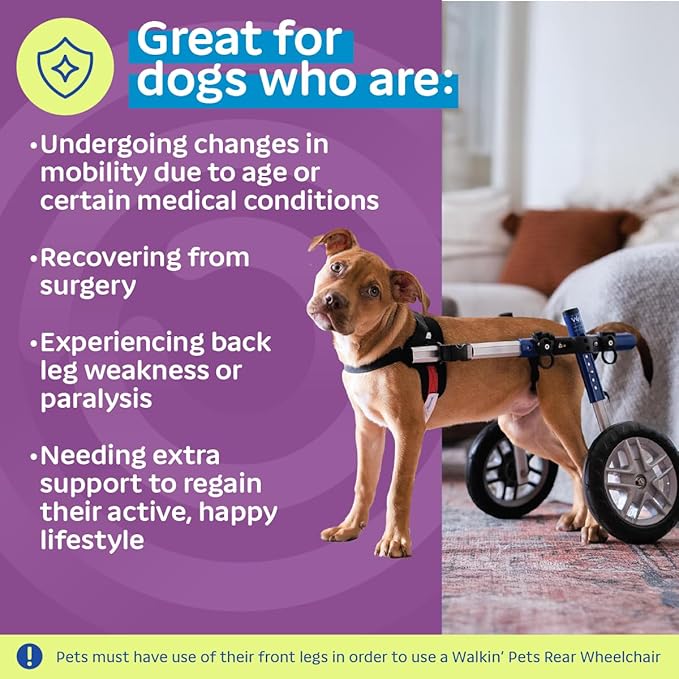 Walkin' Wheels Small Dog Wheelchair, Lightweight Dog Wheelchair for Back Legs, 15-25 lbs, for 6-8 inches Leg Height - Blue