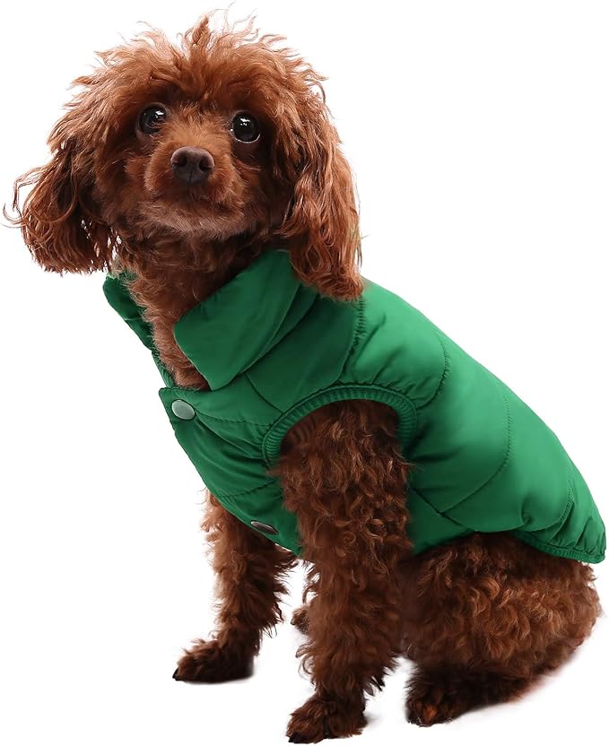 ASENKU Dog Winter Coat - Waterproof Windproof Dog Jacket, Warm Snowproof Doggie Puffer Vest for Cold Weather, Lightweight Snow Coats for Small Medium Large Dogs (L, Green)