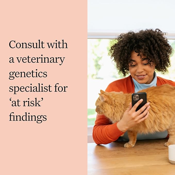 Wisdom Panel Complete: Comprehensive Cat DNA Test kit for 45 Health Genetic Health Conditions, 70+ Breeds and populations, 25+ Traits, Blood Type - Pack of 2