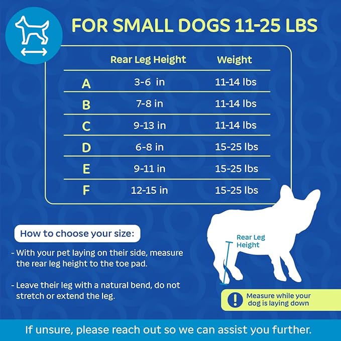 Walkin' Wheels Small Dog Wheelchair, Lightweight Dog Wheelchair for Back Legs, 15-25 lbs, for 9-11 inches Leg Height - Seafoam