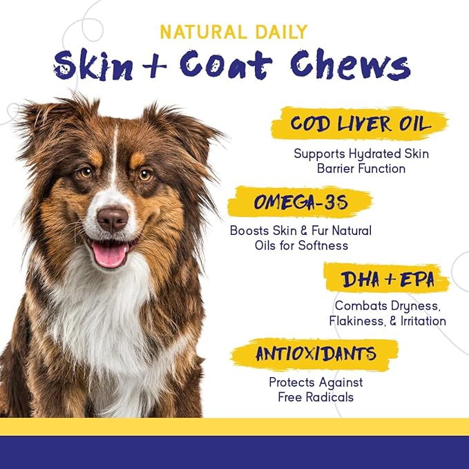 PupGrade Skin & Coat Soft Chew Supplement for Dogs – Supports Healthy Skin, Coat, and Immune Function - Rich in Natural Fish Oil, Omega Fatty Acids, and Vitamins – 180 Soft Chews