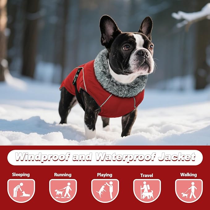 DENTRUN Small Dog Winter Warm Coat - Windproof Cozy Jacket, Thick Fleece Vest with Adjustable Belt, Water Repellent, Reflective Dog Sweater for Yorkie Dachshund Wear, Red, S