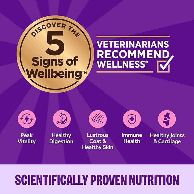 Wellness Complete Health Pate Adult Wet Cat Food, Natural, Protein-Rich, Grain Free, 3 Ounce, 24 Pack, (Chicken & Lobster)