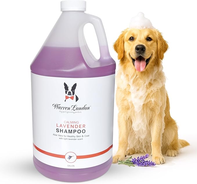 Warren London Calming Lavender Dog Shampoo Gallon | Natural Aloe Vera, Essential Oils & Vitamins | Soothes Itchy Skin, Deodorizes, Made in USA | Lavender Scent, Soap & Paraben Free