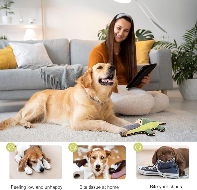 Tough Durable Squeaky Dog Toys for Aggressive chewers Interactive to Keep Them Busy, Funny Plush Dogs Toy for Small Medium Large Chewer Cute Birthday Gift (Crocodile)