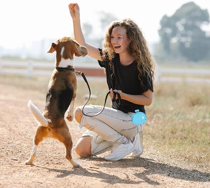New Oasis Dog Treat Pouch, 10oz Small Portable Silicone Dog Training Pouch Reusable Dog Treat Bag with Carabiner Key Case Silicone Coin Pouch, Blue