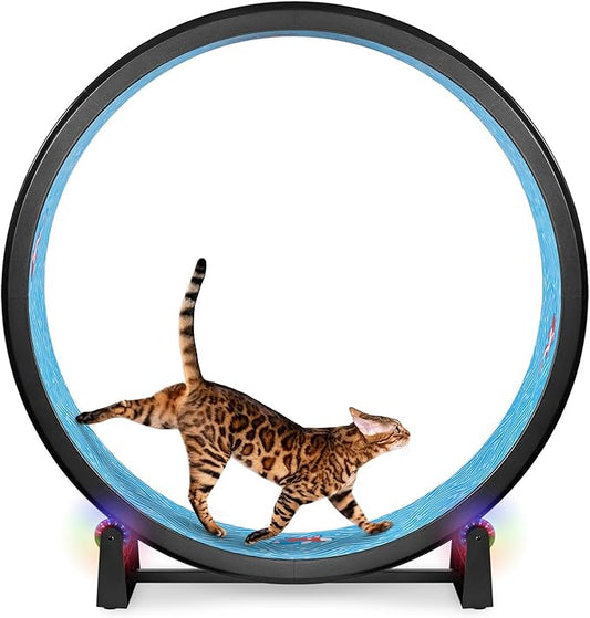 One Fast Cat - Cat Exercise Wheel - Gen. 7 - Safe 48" Diameter - Made in The USA - Black Wheel with Koi Pond Foam Traction Pads and Light-Up LED Inline Wheels