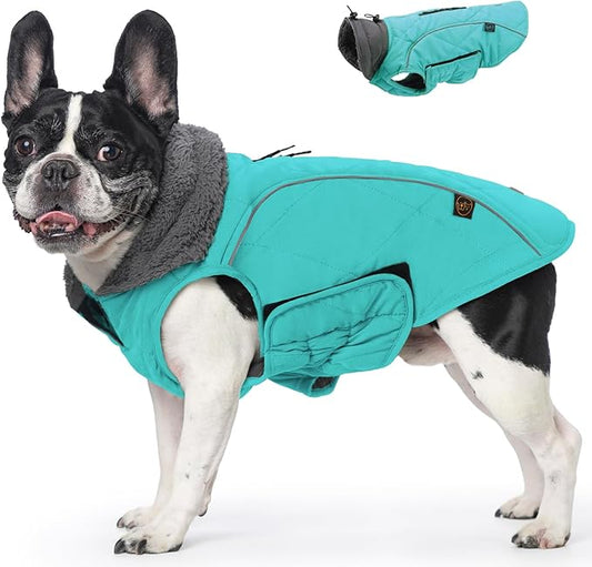 EMUST Winter Dog Coat for Medium Boys - Thick Clothes with Harness Hole for Cold Weather - Turquoise, M