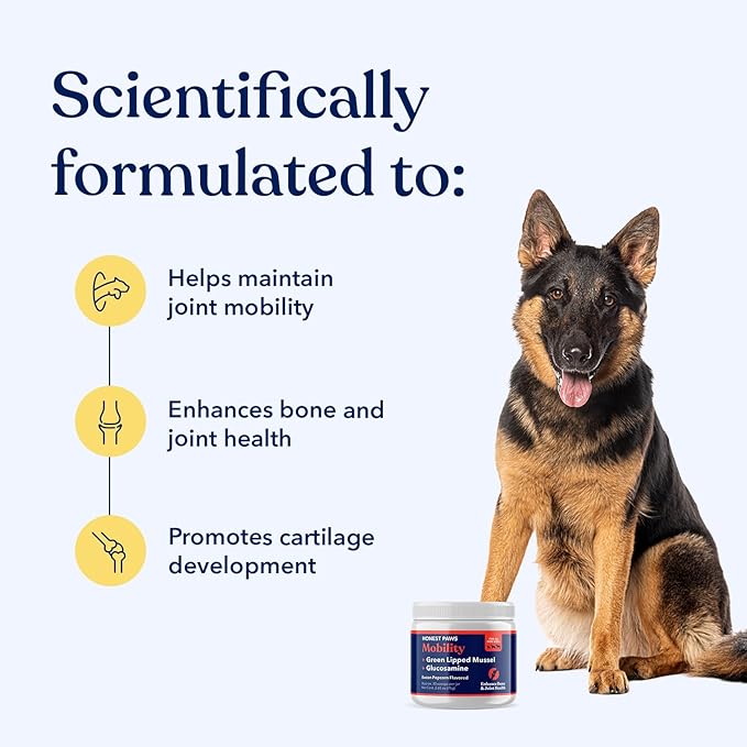 Honest Paws Joint Supplement for Dogs - Supports Mobility, Hip & Joint Health, Eases Stiffness - Glucosamine, Green Lipped Mussel, Fish Oil, Chondroitin Sulfate, MSM, Vitamin C