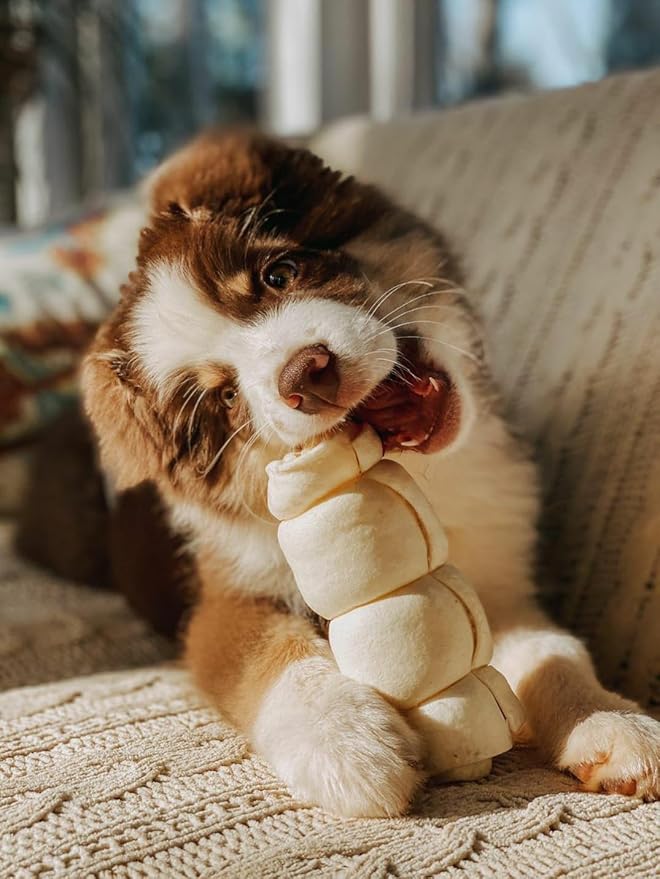 Redbarn Pet Products All-Natural Large Beef Cheek Rolls for Dogs, Uncoated - Single Ingredient Grain-Free Chew Treat Naturally Rich in Collagen - No Artificial Preservatives - Pack of 4