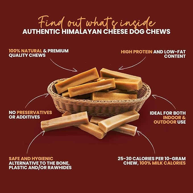 Authentic Himalayan Yak Cheese for Dogs - Medium (Pack of 10) - Sourced from Pristine Himalayan Foothill, Rawhide-Free, NO preservatives