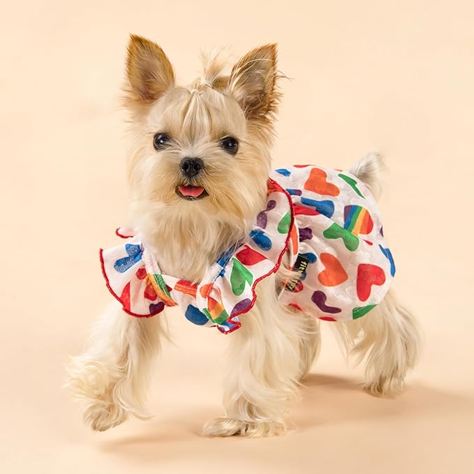 Fitwarm Colorful Heart Dog Dress, Summer Clothes for Small Dogs Girl, Cute Pet Rainbow Outfit, Red, Yellow, Blue, Green, White, Large