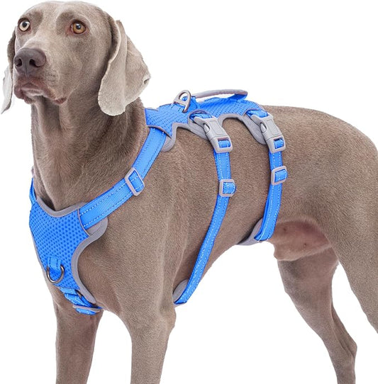 Huntboo Escape Proof Dog Harness, No Pull Reflective Harness with Lift Handle,Adjustable Pet Vest with Front and Back Leash Clips for Small Medium Large Dogs Walking Hiking Training (Sea Blue,L)