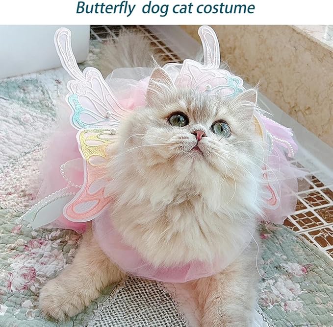 Butterfly Dog Costume Pink Dog Dress with Leash Ring Lolita Puppy Clothes for Small Dog Girl Halloween Cat Outfit for Kitten Chihuahua Yorkie Pomeranian(Purple, Large)