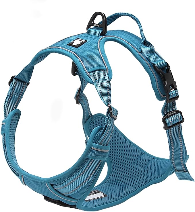Truelove Adjustable No-Pull Dog Harness Reflective Pup Vest Harnesses Comfortable Control Brilliant Colors TLH5651(Blue,S)