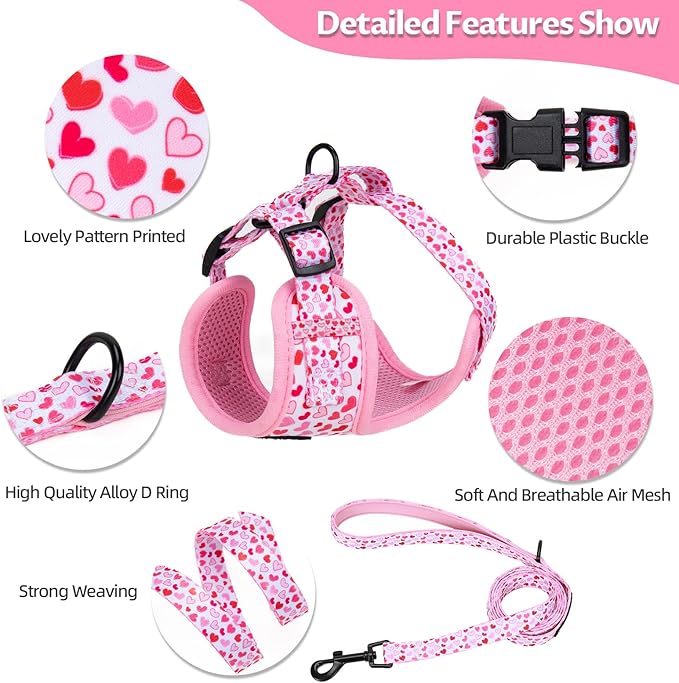 Dog Harness and Leash Set, Adjustable Dog Harness, Dog Leash, No Pull No Choke Puppy Harnesses for Walking Training for Small, Medium Pet (Little Love, XS(Chest 11-13", Neck 9-11"))