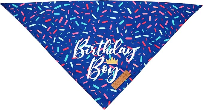 Realeaf Birthday Boy Dog Bandana, Dog Birthday Party Supplies,Premium Durable Fabric, Bandana for Medium and Large Dogs Pets (Blue, Large)