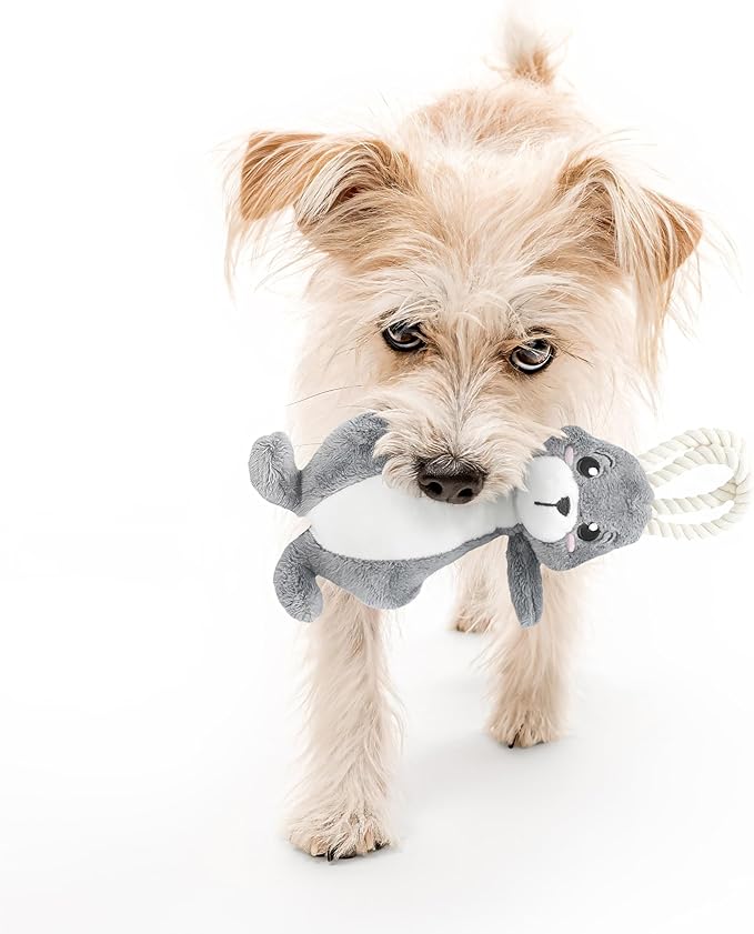 Dog Toys | Plush Toy Arctic Hare Stuffed Animal for Dogs | Small Eco Friendly Toy - Easy to Clean and Made from Non Toxic Materials