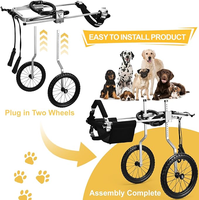 Corgi&Dachshund Dog Wheelchiar - Dog Wheelchair for Back Legs – Lightweight Adjustable Mobility Aid for Medium Dogs - Ideal for IVDD, Arthritis & Injury Recovery