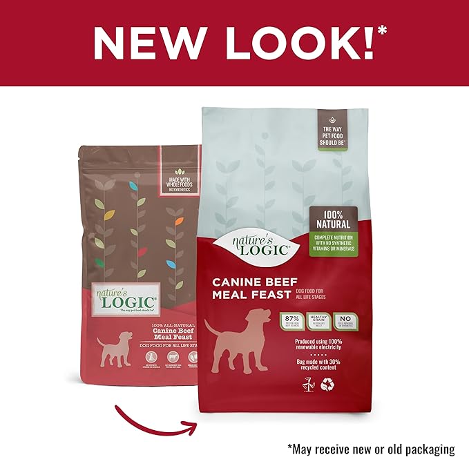 NATURE'S LOGIC Dry Dog Food - 100% Natural - No Synthetics - for All Ages, Sizes, Breeds - Free from Common Allergens, High Protein - Beef Meal Feast, 25lbs