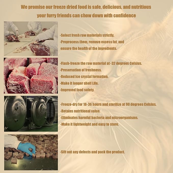 RA NOVA Freeze Dried Cat Treats - 100% Chicken Breast Grain Free Raw - Natural Balance Limited Ingredient High Protein Cat Snacks 140g/4.94oz - Picky Eater Challenger