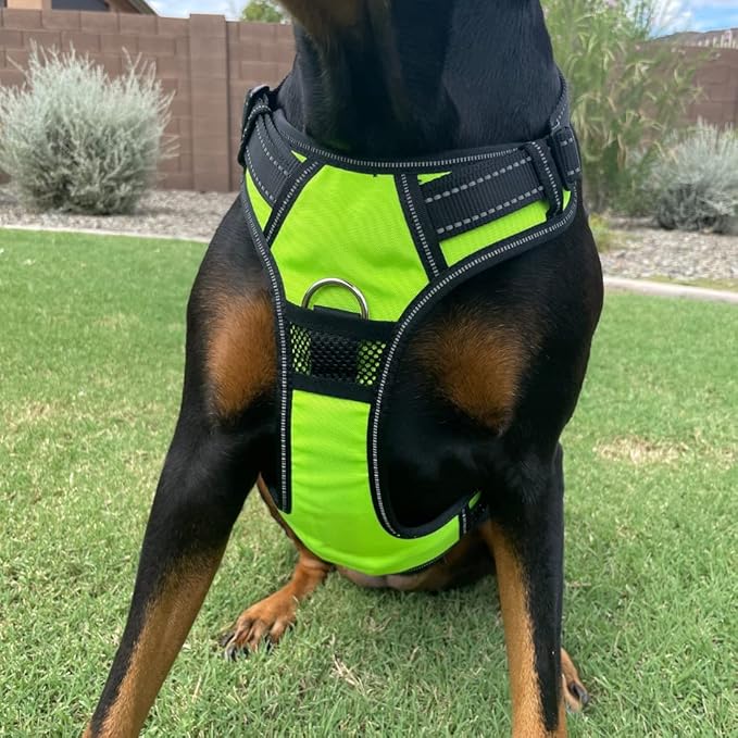 4Knines No Pull Dog Harness for Large Dogs – Adjustable Reflective Harness with Front & Back Leash Clips – Durable, Easy Control for Walks & Training (Yellow)