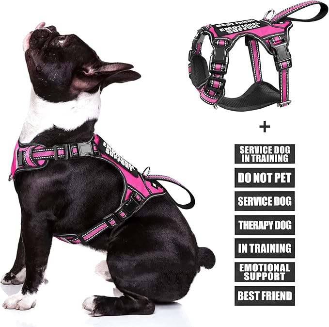 WINSEE Service Dog Vest No Pull Dog Harness with 7 Dog Patches, Reflective Pet Harness with Durable Soft Padded Handle for Puppies, Small, Medium, Large, and Extra-Large Dogs
