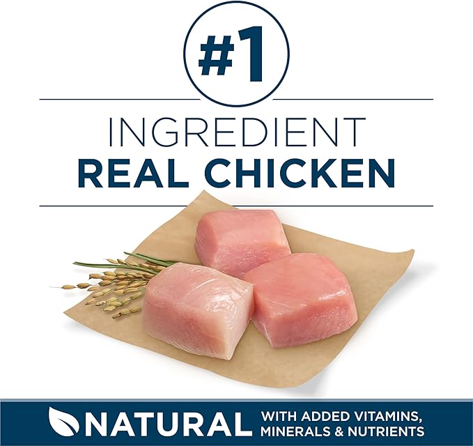 Purina ONE Natural Large Breed Adult Dry Dog Food, +Plus Formula - 16.5 lb. Bag