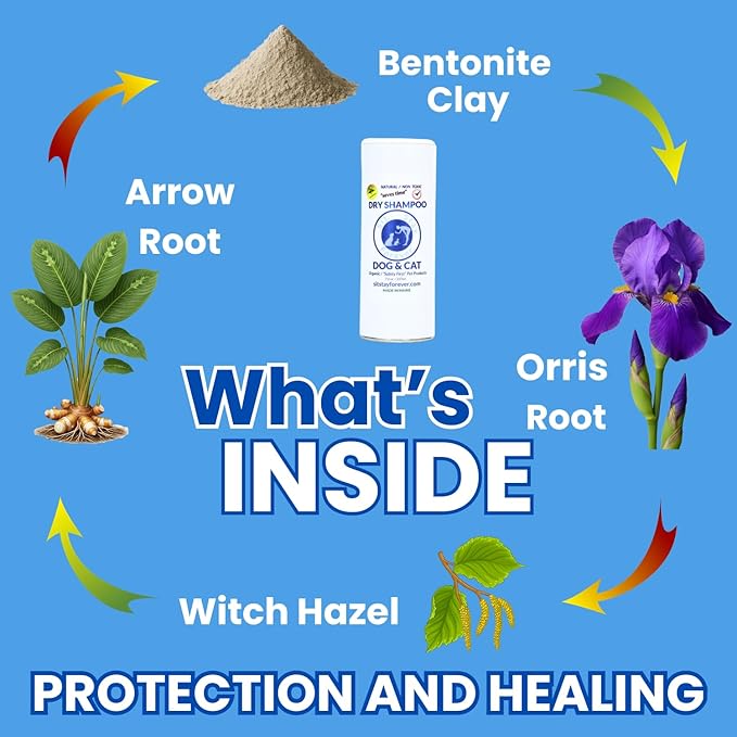 Sit. Stay. Forever. Dry Shampoo for Dogs & Cats – Organic Dry Bath Powder, Talco para Perros, Hypoallergenic, Odor Control for Smelly Dogs, No-Rinse, Anti-Itch, Safe & Natural, Made in The USA, 28 oz