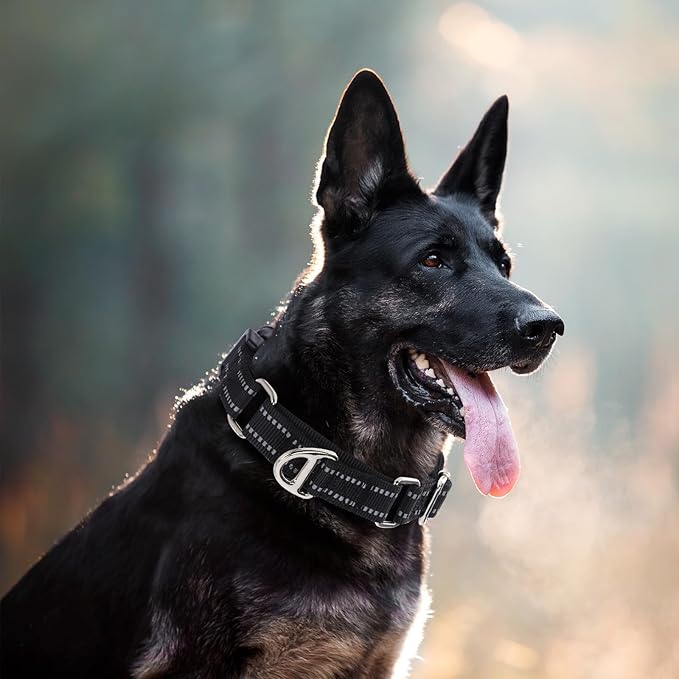 Martingale Collar for Dogs - Reflective Nylon, No Slip Choke Heavy Duty Collar with Quick Release Buckle- Safe Fit for Training & Walking Black L