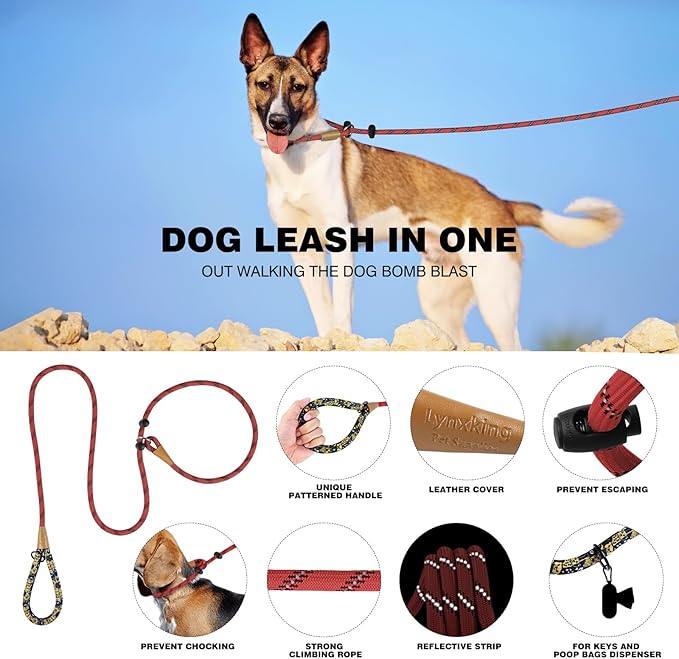 lynxking Slip Lead Dog Leash Reflective, Heavy Duty Comfortable Strong Rope for Large Medium Small Dogs No Pull Pet Training (Red, Small 3/8in x 6ft-Slip Lead)
