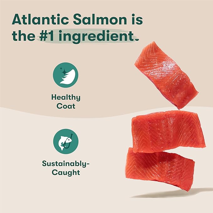 Jinx Premium Small Breed Dog Food Dry - Real Salmon, Brown Rice & Sweet Potato Kibble with Superfoods for Immune Support & Probiotics for Digestive Support - No Fillers – 11.5lb