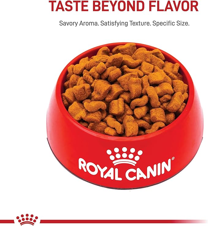Royal Canin Boxer Adult Dry Dog Food, 30 lb bag