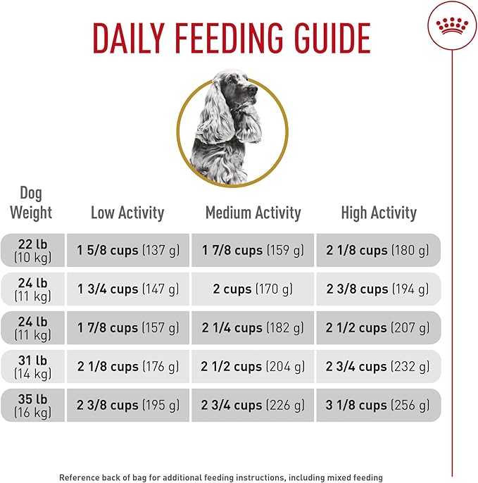Royal Canin Cocker Spaniel Adult Dry Dog Food, 6 lb bag