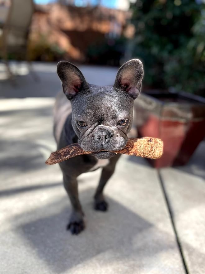 Redbarn Pet Products Bully Slices for Dogs French Toast Natural Dental Treats 12 Bags