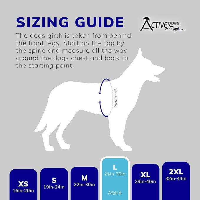 ActiveDogs Full Service Dog Kit - Large Aqua - Service Dog Vest Harness with Handle, ID, ID Holder, ADA Cards, Medical Alert Keychain, Leash & Patches