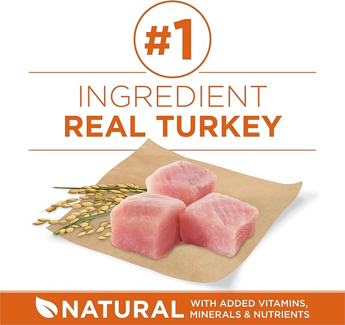 Purina ONE Plus Healthy Weight High-Protein Dog Food Dry Formula - 40 lb. Bag