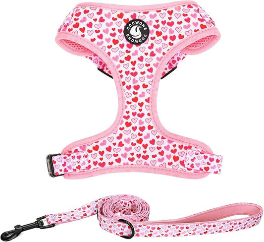 Dog Harness and Leash Set, Adjustable Dog Harness, Dog Leash, No Pull No Choke Puppy Harnesses for Walking Training for Small, Medium Pet (Little Love, M(Chest 17.7-23.1", Neck 13.4-16.4"))