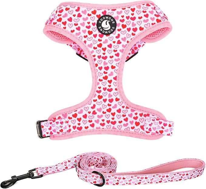 Dog Harness and Leash Set, Adjustable Dog Harness, Dog Leash, No Pull No Choke Puppy Harnesses for Walking Training for Small, Medium Pet (Little Love, S(Chest 14-19.6", Neck 10.6-13"))