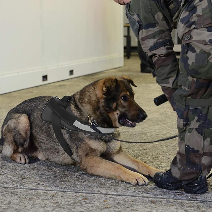 Bolux Dog Harness, No-Pull Reflective Dog Vest, Breathable Adjustable Pet Harness with Handle for Outdoor Walking - No More Pulling, Tugging or Choking (Black, L)