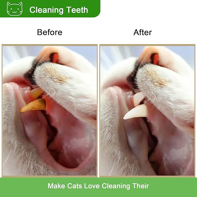 Silvervine Sticks for Cats, Silver Rattan Stick Catnip Stick,Kitten Training Toy,Cats Chew Stick Indoor,Cat Interactive Toy,Tooth Cleaning for cat,Kitty Wooden Tooth Stick Cat Game