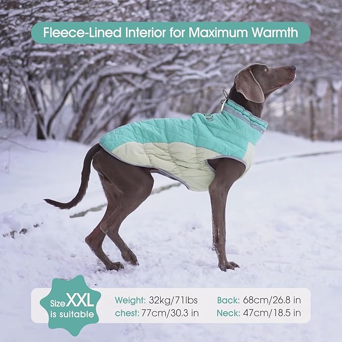FUAMEY Dog Coat for Large Dogs,Waterproof Dog Winter Jacket with Harness Built in Puppy Cold Weather Coats Reflective Pet Vest with Zipper Warm Fleece Dogs Snowsuit Windproof Mint Green XXL