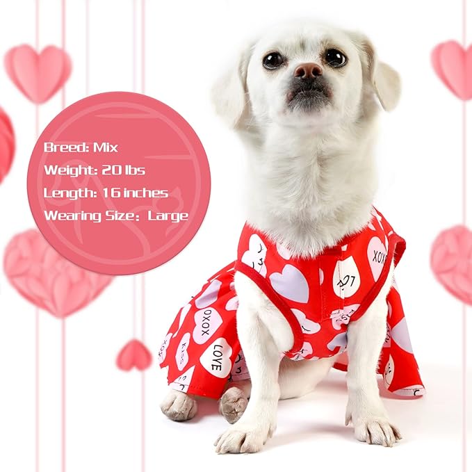 cyeollo Valentines Day Dog Dress Holiday Theme Outfit Heart Pattern Chiffon SkirtGirl Dog Clothes Dresses for Puppy Dogs Cats Apparel