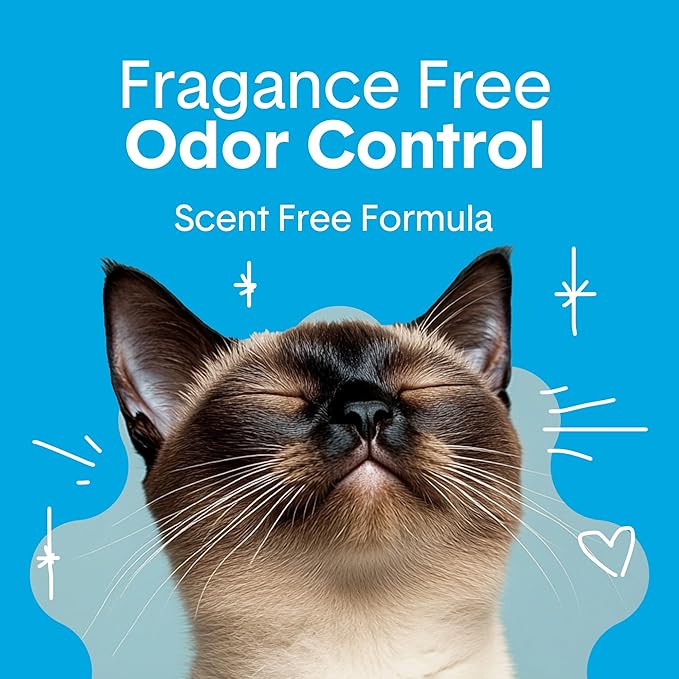 Boxie Unscented 30 Day Odor Control Clumping Clay Cat & Kitty Litter 40 lb, 99.9% Dust-Free, Hard Flat Top Clumps, No Fragrances No Fillers, Long-Lasting, Easy to Scoop